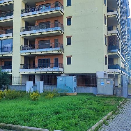 Love Home Apartament Near The Airport Fiumicino Buitenkant foto
